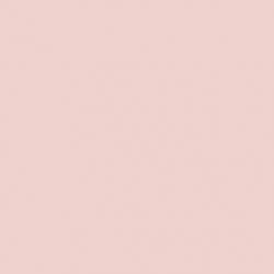 Pink Slip (220)