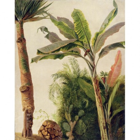Panneau Banana Tree • Papier Peint • AU FIL DES COULEURS • AZURA