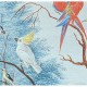 Panneau Tropical Birds • Papier Peint • AU FIL DES COULEURS • AZURA
