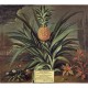 Panneau Pineapple • Papier Peint • AU FIL DES COULEURS • AZURA