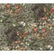 Woodland Botanical Botanica ref 115/4011• Wallpaper • COLE AND SON • AZURA