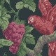 Woodvale Orchard - Ruby, Rose & Olive Green on Charcoal - 116/5020