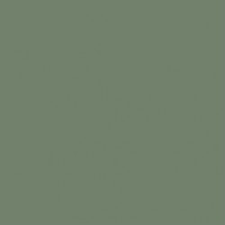 peinture Card Room Green No.79 - FARROW & BALL - AZURA blois